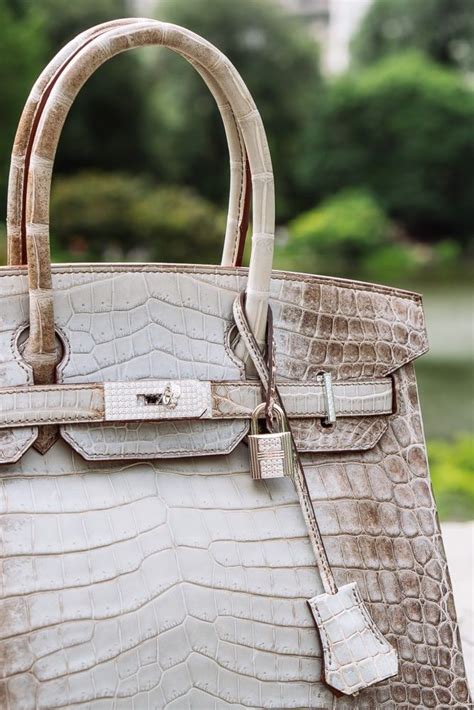 hermes birkin himalayan price|hermes himalayan birkin owners.